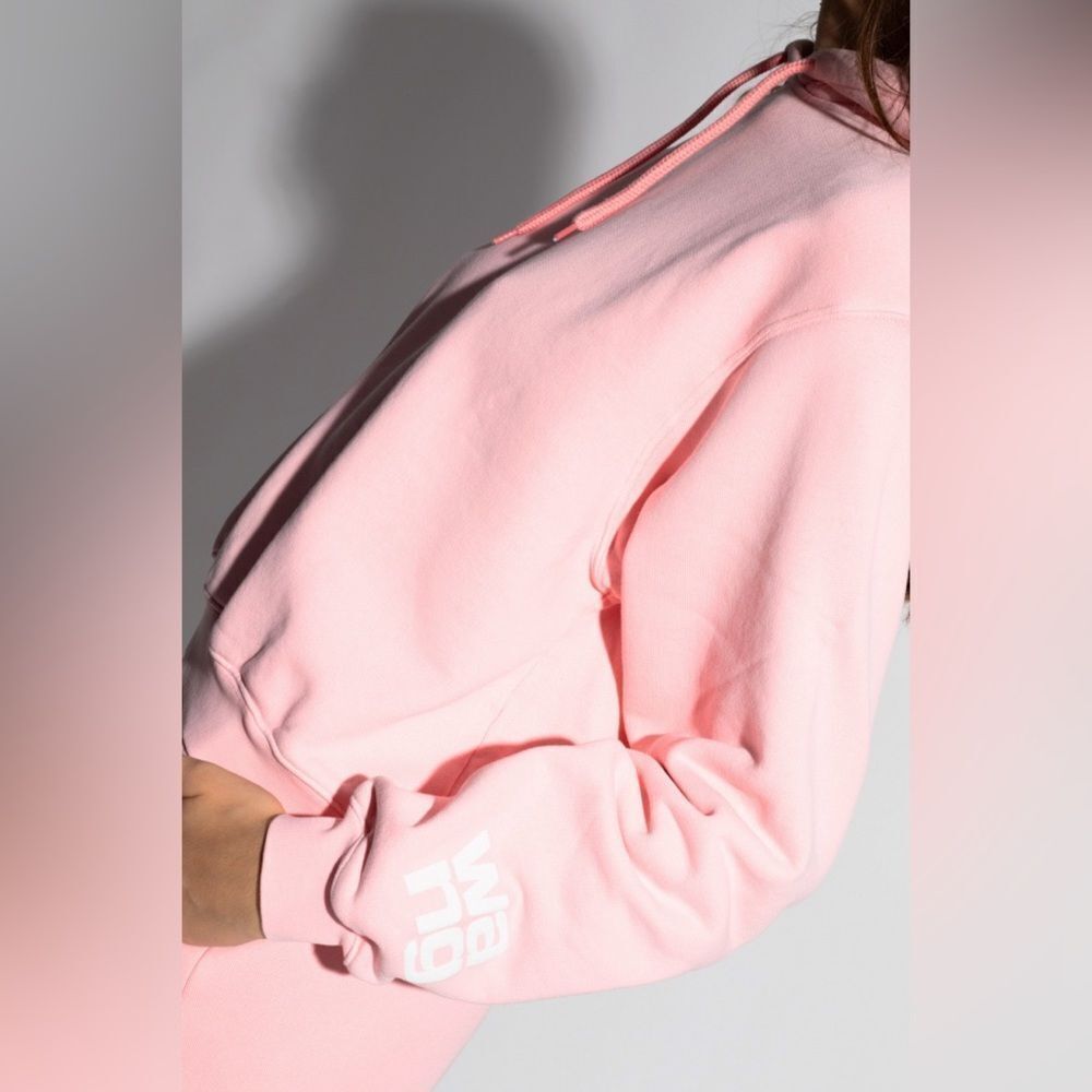 SSENSE ALEXANDER WANG t. pale pink hoodie pull over small